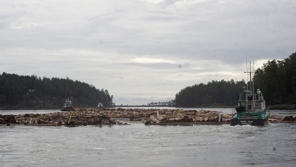 3 tugs transiting gabriola pass