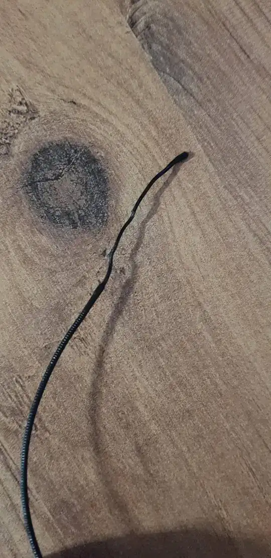 Image of the tip of the filament Image of the tip of the filament