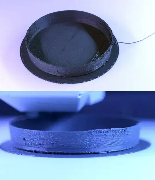 A picture of my print error