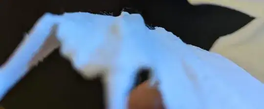 Close up of dragon wing showing cotton effect Close up of dragon wing showing cotton effect