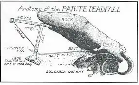 Paiute Deadfall Trap