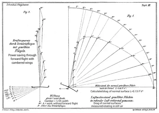 Illustration on page 196 of Otto Lilienthal's "Der Vogelflug als Grundlage der Fliegekunst"