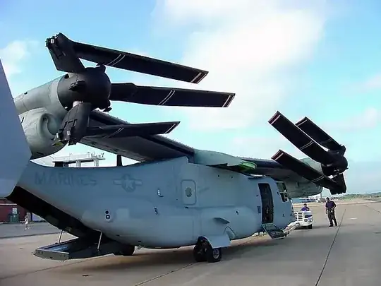 Osprey with wings folded