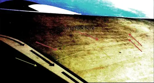 Same image with increased contrast