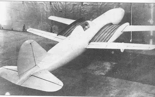 NIAI RK-I extending wing airplane