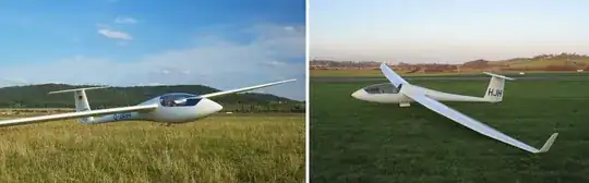 Alexander Schleicher ASW-20 (left) and Schempp-Hirth Discus T (right)