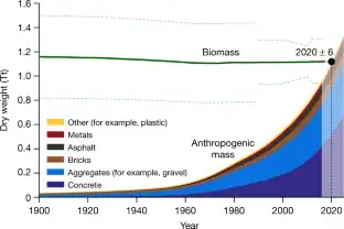 Biomass and anthropogenic mass estimates since the beginning of the twentieth century on a dry-mass basis.