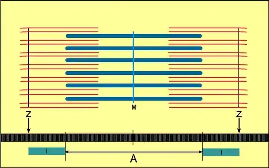 Animation of muscle contractions