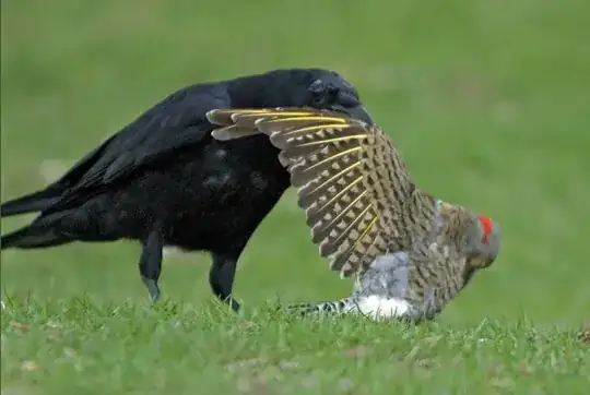 Crow carrying dead bird