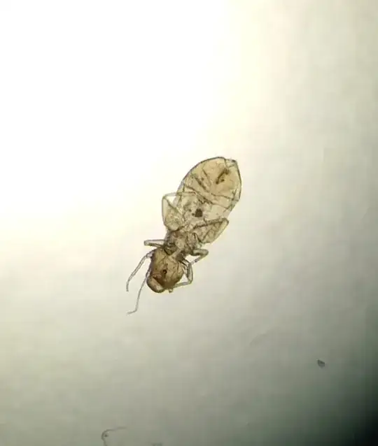 unknown bug