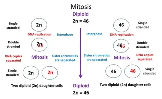 MITOSIS