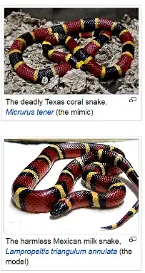 snake mimics snake
