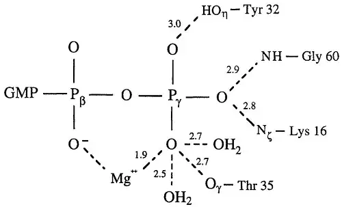 Binding site of GTP on Rap2A
