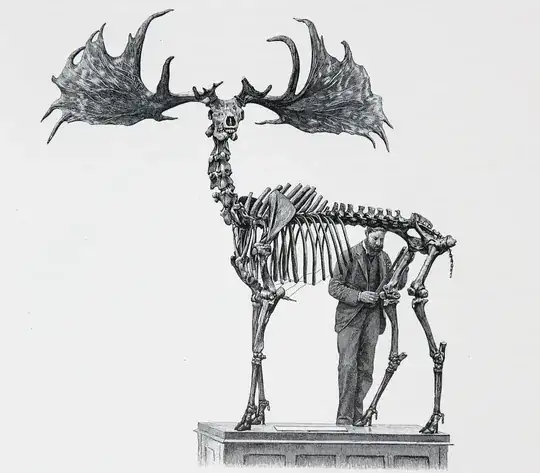 Irish elk to scale