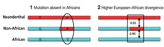 Analysis of Gene Divergence