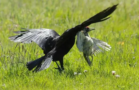 Crow v Flicker 2