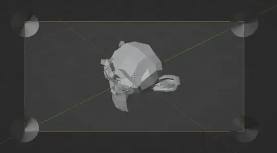 picture from the camera