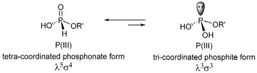 Tautomers of phosphonate esters