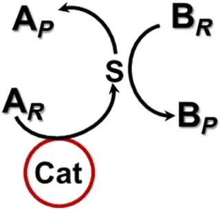 Fig. 1 A noncontact catalytic system