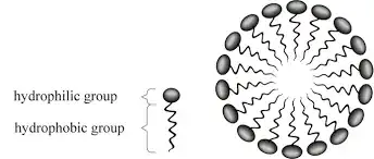 Micelle