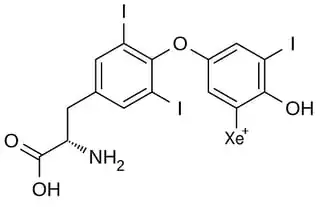 Post-radiodecay thyroxine