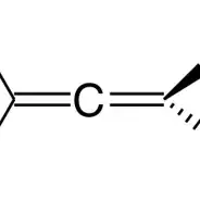 allene structure