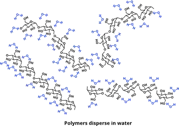 Polymers have dispersed in solution
