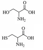Serine and Cysteine