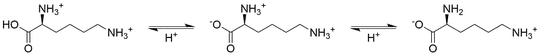 Two deprotonations of lysine dication