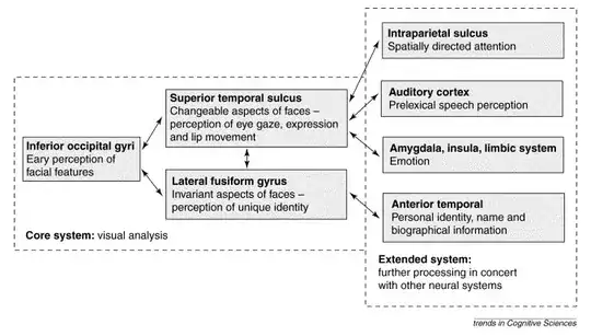 Figure from Haxby et. al., 2000