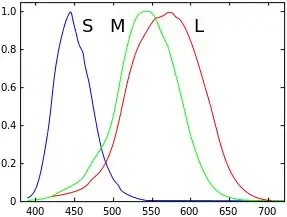 Normalized responsivity spectra of human cone cells, S, M, and L types