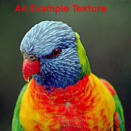 small lorikeet+text