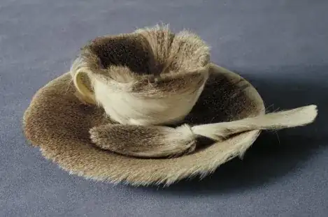 Meret Oppenheim. Object. 1936