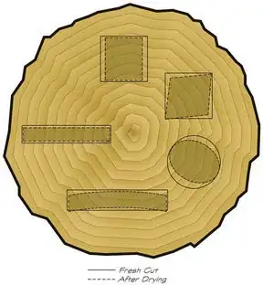 Warping according to cut