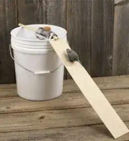 mouse bucket trap