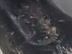 Detail of handle not quite legible number