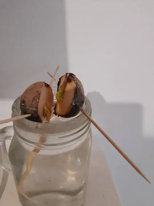 This is what it's looking like