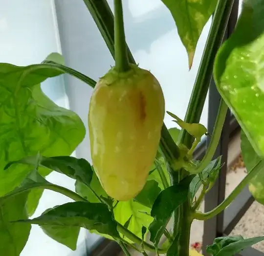 chili smudge example