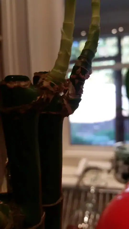 Here's some photos of the stock and the bumps