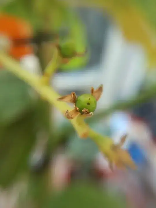 enter link description here