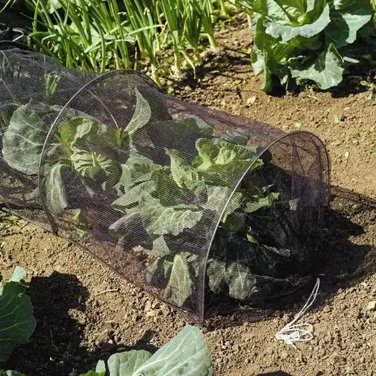 Micro-mesh Grow Tunnel