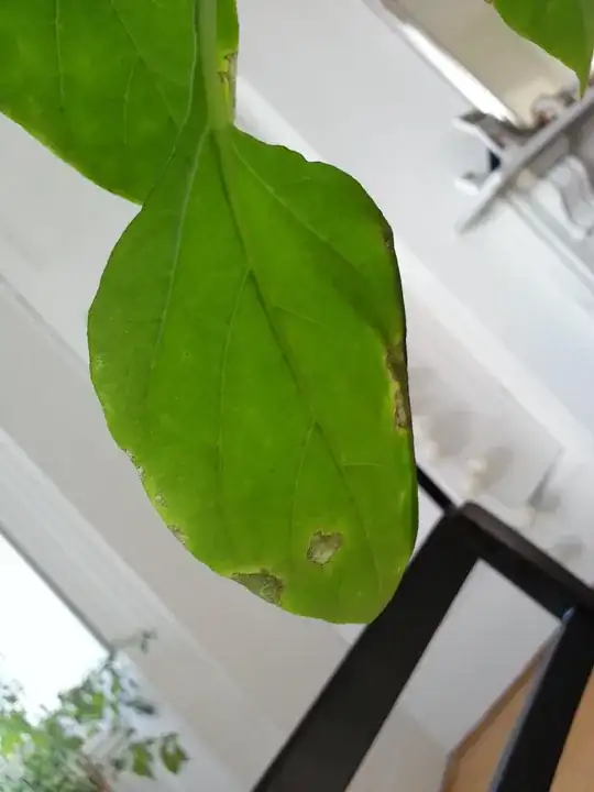 enter image description here