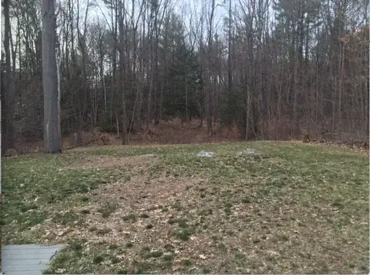 Back to the house, looking at the wedding site