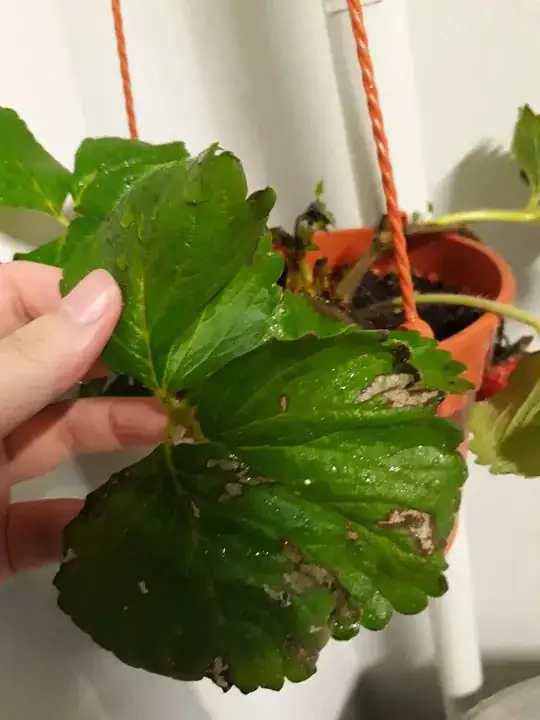 enter image description here Holes