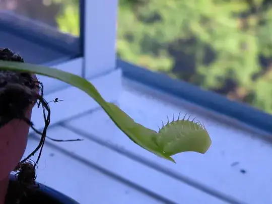 Two weeks later: new trap