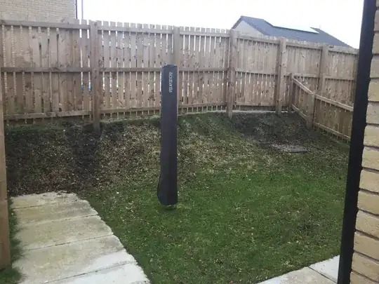 Back Garden (taken from corner of side garden)