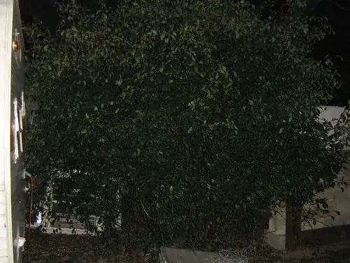 Photo by brucevt1218 on flickr www.flickr.com/photos/45055463@N02/