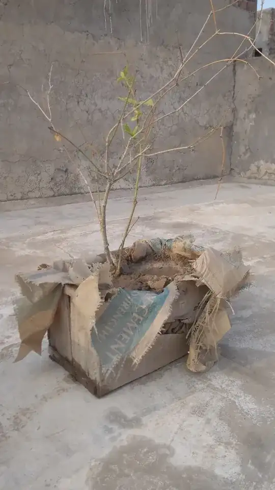 My setup on the rooftop