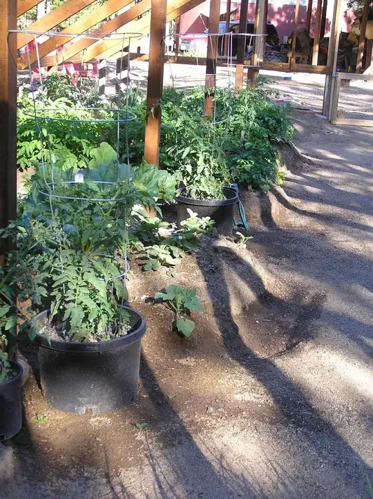 my raised beds of pumice nutrient poor forest soil