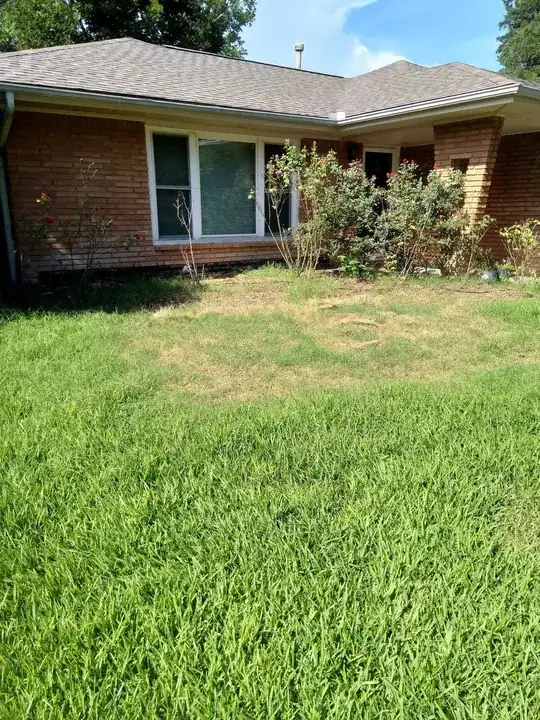 looking toward house